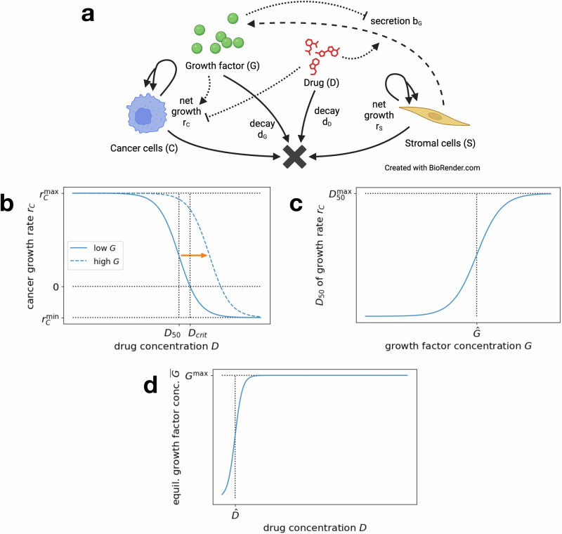 Modeling critical dosing strategies for stromal-induced resistance to cancer therapy.