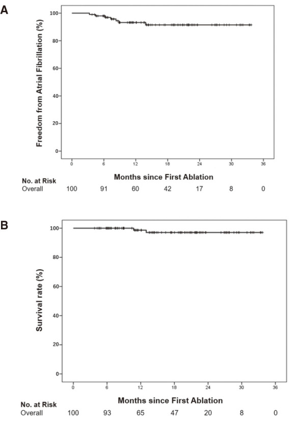 Efficacy and safety of atrial fibrillation ablation in patients aged ≥80 years: a retrospective study.