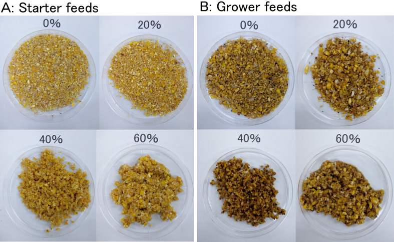 Wet Feeding Promotes Growth without Affecting Hypothalamic Peptide Gene Expression in Growing Broiler Chicks.