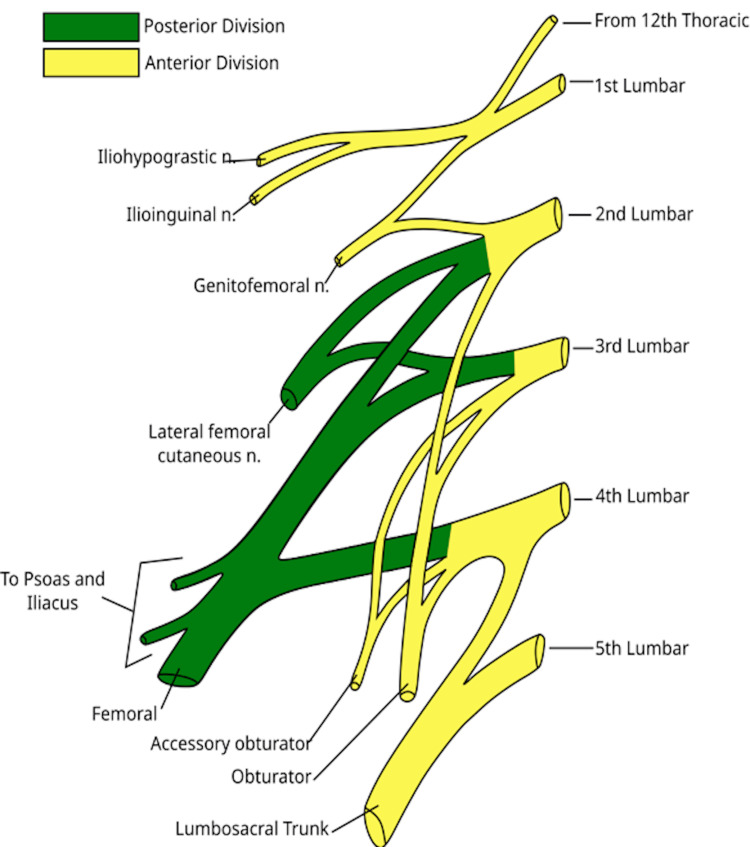 Abstract Image