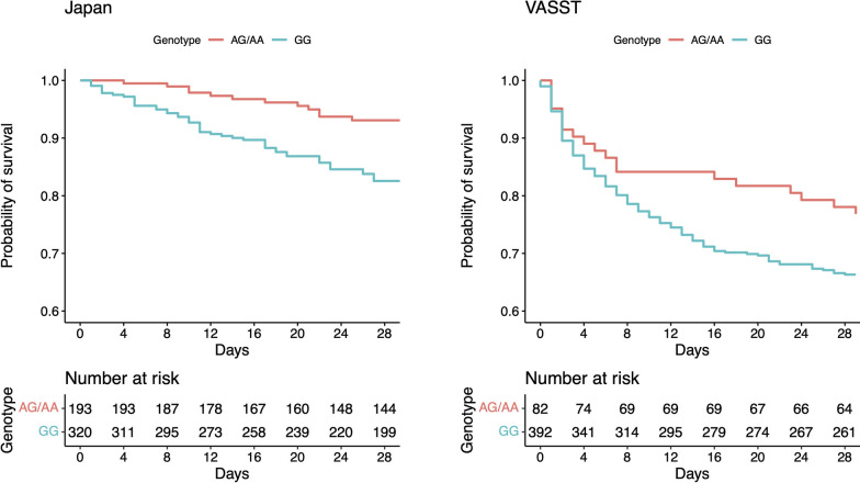 Low apolipoprotein A-II levels causally contribute to increased mortality in septic shock.