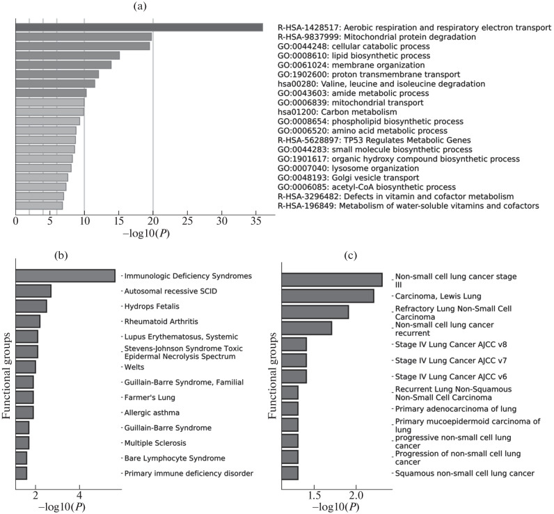 Thioridazine Induces Increase in Expression of the Pyruvate Transporter MPC1 Associated with Immune Infiltration in Malignant Tumors.
