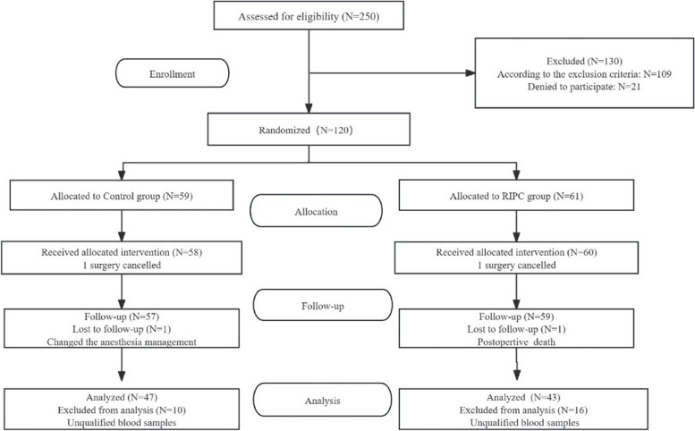 Effect of remote ischemic preconditioning on perioperative neurocognitive disorder in elderly patients undergoing major surgery and associated genetic variant analysis: a randomized clinical trial.