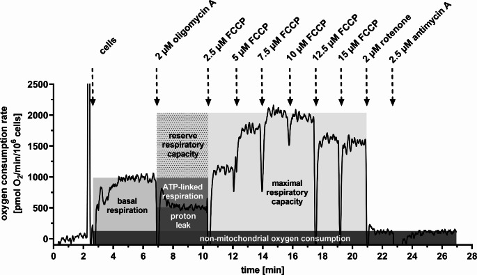 Lithium compromises the bioenergetic reserve of cardiomyoblasts mitochondria.