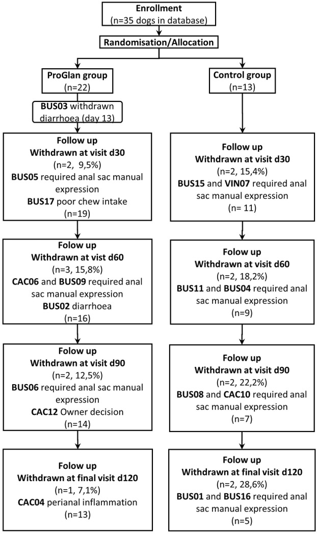 Efficacy of an oral chew containing fibre and Bacillus velezensis C-3102 in the management of anal sac impaction in dogs.