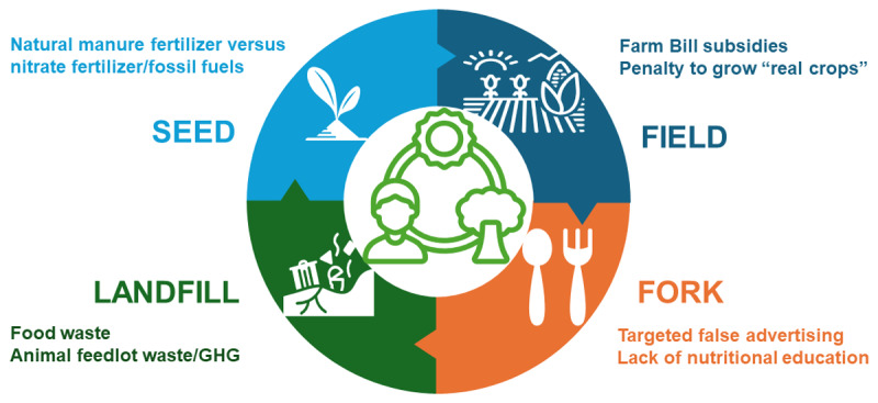 Food Chain and Food Policies: Causes and Solutions for the Obesity Pandemic.