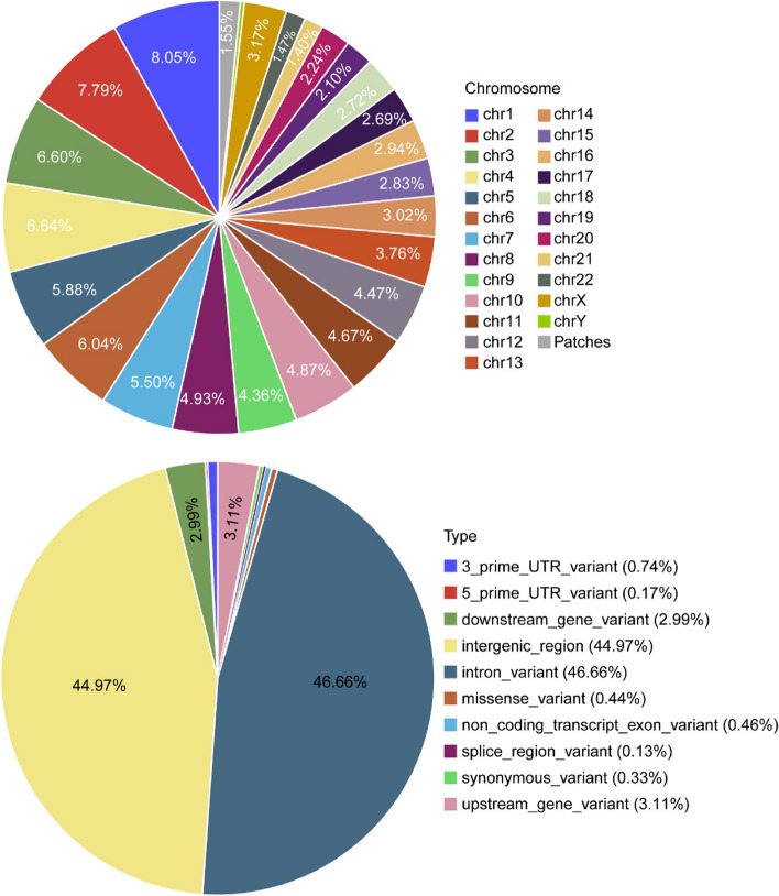 Effect of remote ischemic preconditioning on perioperative neurocognitive disorder in elderly patients undergoing major surgery and associated genetic variant analysis: a randomized clinical trial.