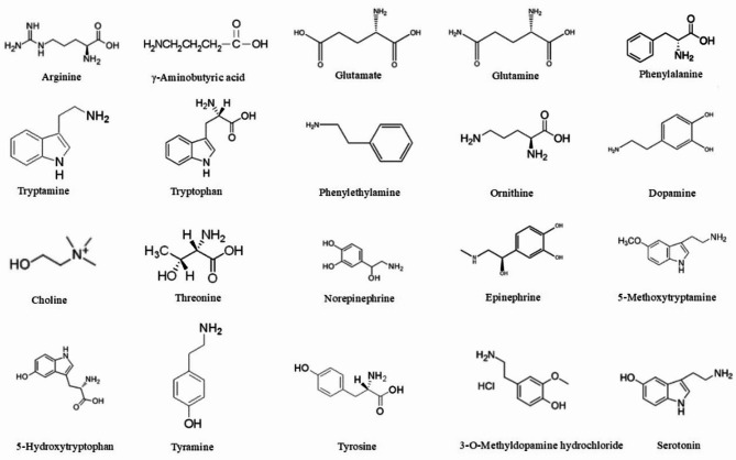 Ultra performance liquid chromatography with ultrasound assisted magnetic ionic liquid dispersive liquid liquid microextraction for determination of 20 neurotransmitters in spinal cords.