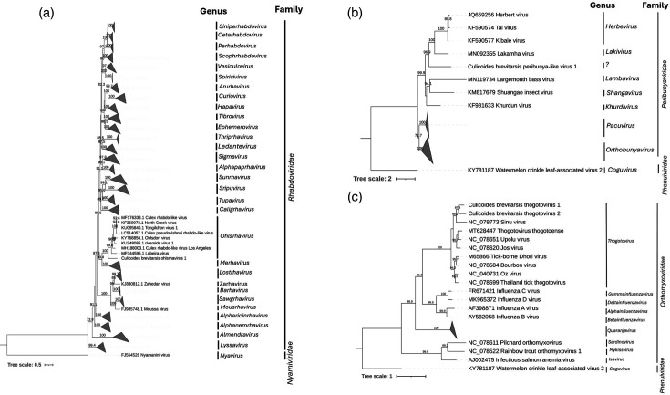 Characterisation of the virome of <i>Culicoides brevitarsis</i> Kieffer (Diptera: Ceratopogonidae)<i>,</i> a vector of bluetongue virus in Australia.