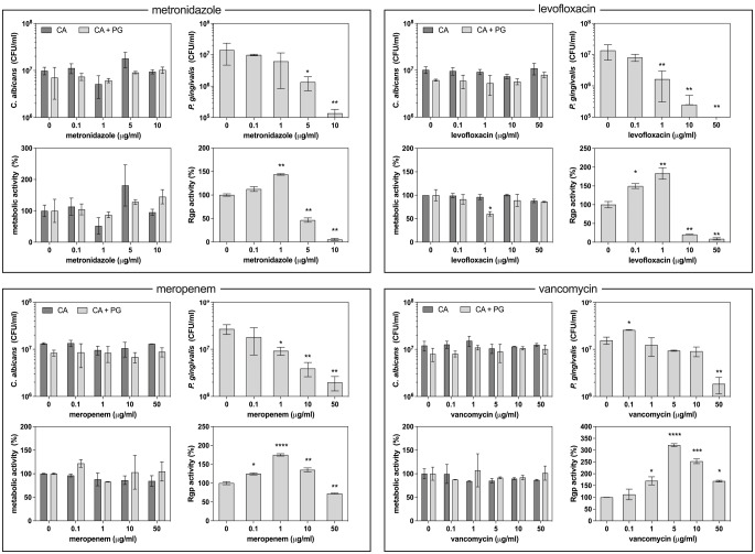 The efficacy of antimicrobial therapies in the treatment of mixed biofilms formed between Candida albicans and Porphyromonas gingivalis during epithelial cell infection in the aspiration pneumonia model.