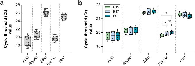 Evaluation of suitable reference genes for gene expression studies in the developing mouse cortex using RT-qPCR.