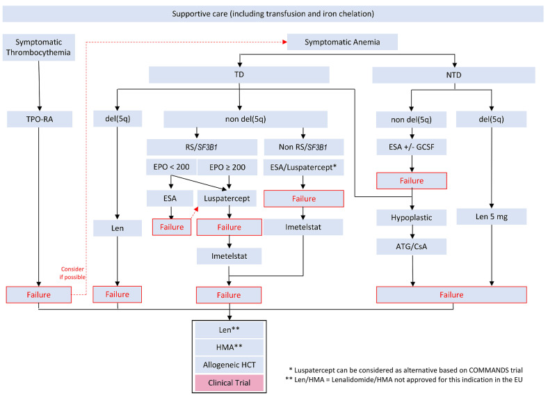 Treatment of lower-risk myelodysplastic syndromes.