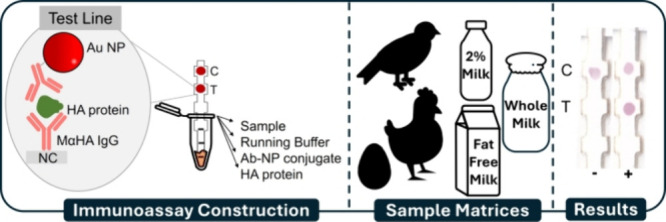 Development of an Immunoassay for Highly Pathogenic Avian Influenza (H5N1) across Diverse Sample Matrices.
