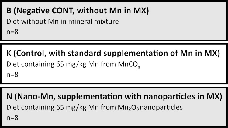 Consequences of Dietary Manganese-Based Nanoparticles Supplementation or Deficiency on Systemic Health and Gut Metabolic Dynamics in Rats.