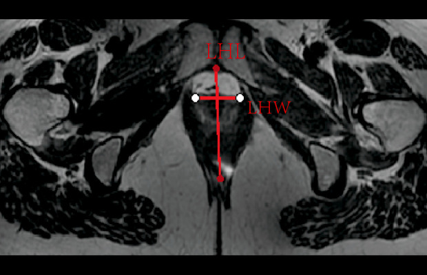 Abstract Image