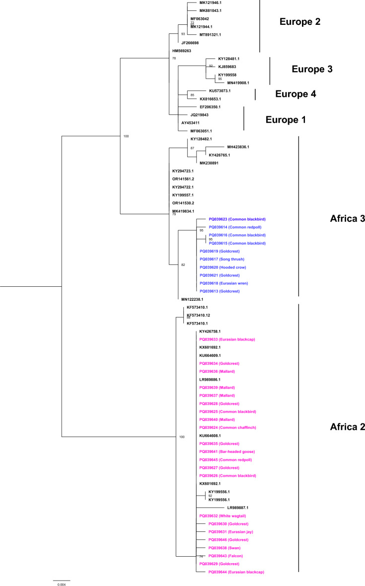 Usutu virus continues to spread across Europe: first report of multiple molecular detections of the USUV Africa 2 and Africa 3 lineages in free-living and captive birds in Poland, July-November 2023.