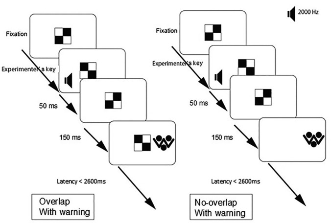 Orienting and Alerting Attention in Very Low and Normal Birth Weight Children at 42 Months: A Follow-up Study.