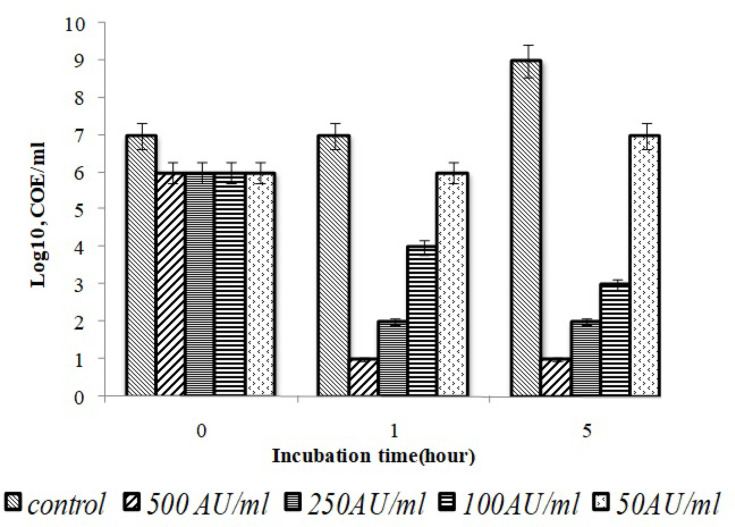 Investigation of new exopolysaccharides produced by strains of donkey milk.