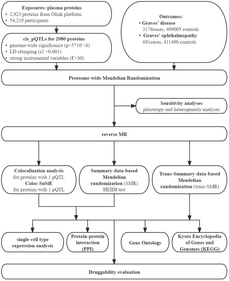 Genetic and Plasma Proteomic Approaches to Identify Therapeutic Targets for Graves' Disease and Graves' Ophthalmopathy.