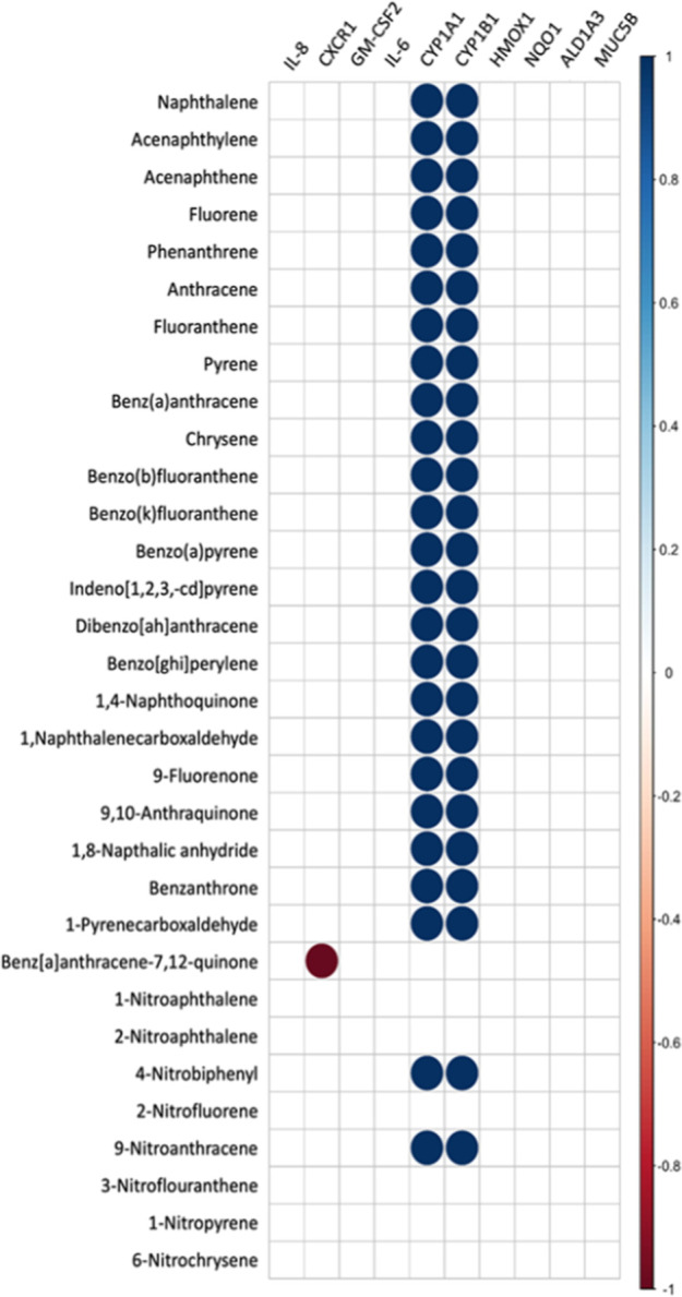 Exposure of Human Nasal Epithelial Cells to Polycyclic Aromatic Hydrocarbons Differentially Increases Markers of Inflammation and Expression of Aryl Hydrocarbon Pathway Genes.