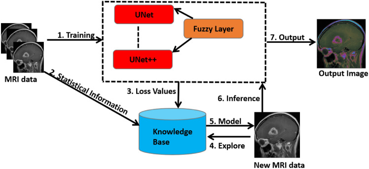 Ensemble fuzzy deep learning for brain tumor detection.