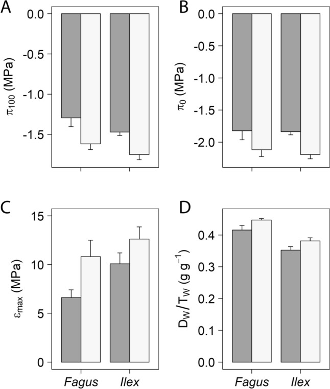 Herbivory legacy modifies leaf economic spectrum and drought tolerance in two tree species.
