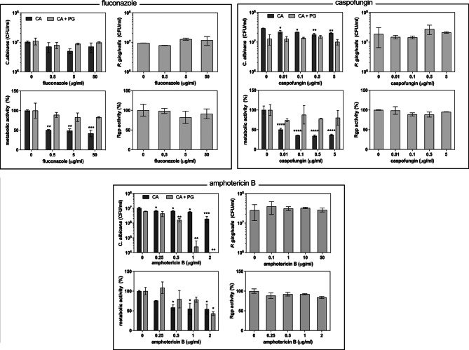 The efficacy of antimicrobial therapies in the treatment of mixed biofilms formed between Candida albicans and Porphyromonas gingivalis during epithelial cell infection in the aspiration pneumonia model.