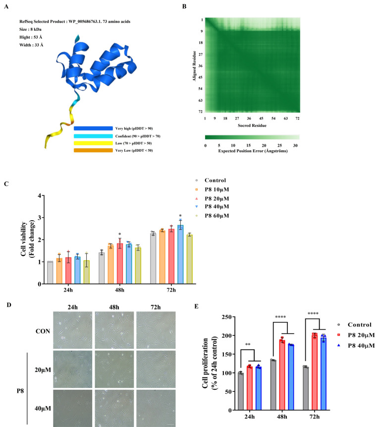 Probiotic-Derived P8 Protein: Promoting Proliferation and Migration in Stem Cells and Keratinocytes.