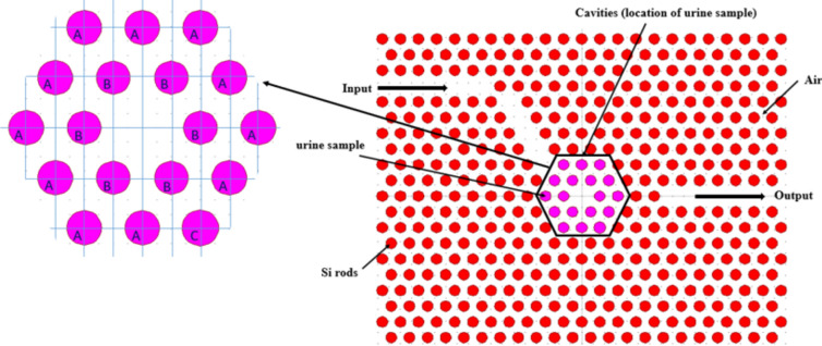 A Compact 2-D photonic crystal biomedical sensor for enhanced glucose concentration detection in urine.