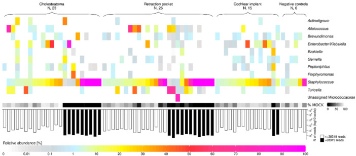Bacteriome of the Middle Ear in Children and Young Adults With Cholesteatoma and Retraction Pocket: A Pilot Study.
