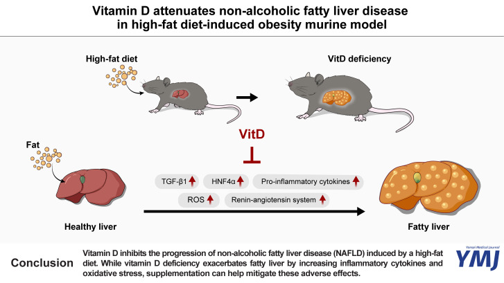 Vitamin D Attenuates Non-Alcoholic Fatty Liver Disease in High-Fat Diet-Induced Obesity Murine Model.
