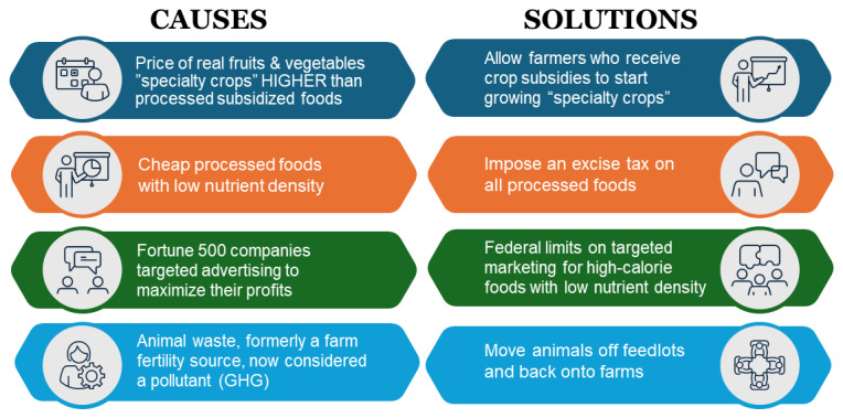 Food Chain and Food Policies: Causes and Solutions for the Obesity Pandemic.