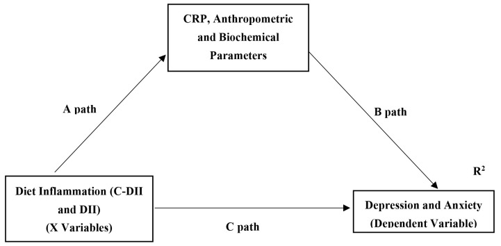 Association of Children's Dietary Inflammatory Index with Depression and Anxiety Symptoms in Adolescents: Mediating Role of Inflammation and Cardiometabolic Risk Factors.