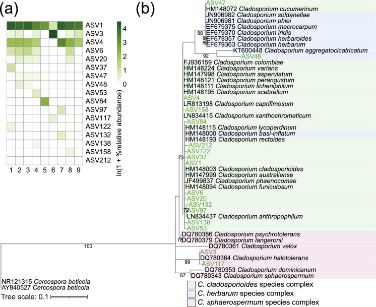 Prevalence of the Cladosporium cladosporioides Species Complex in the Mycelia-Like Skin Crusts of Migratory Yellow-Throated Buntings (Emberiza elegans) in Korea.