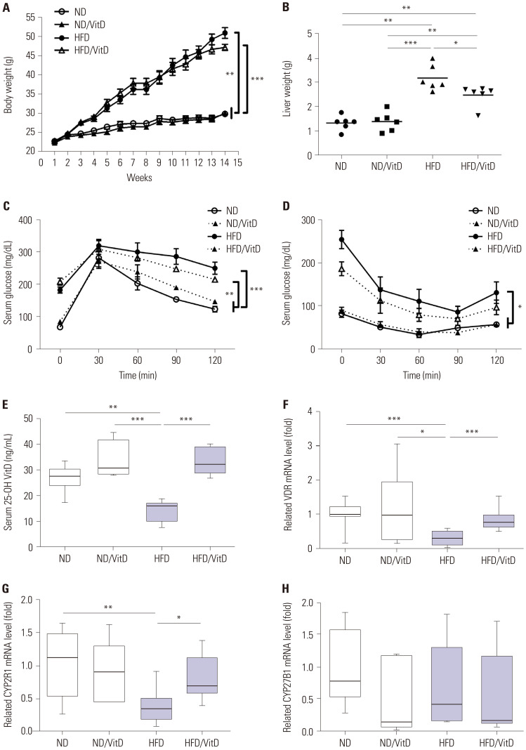 Vitamin D Attenuates Non-Alcoholic Fatty Liver Disease in High-Fat Diet-Induced Obesity Murine Model.