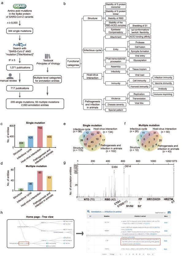 AnnCovDB: a manually curated annotation database for mutations in SARS-CoV-2 spike protein.