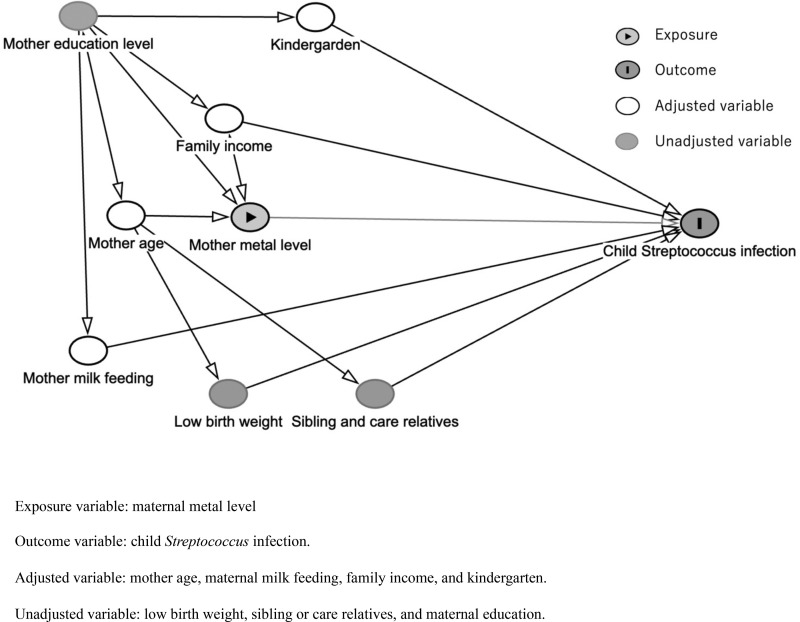 Association between prenatal exposure to maternal metal and trace elements and Streptococcus infection: A prospective birth cohort in the Japan Environment and Children's Study.