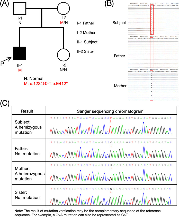 Novel CACNA1F pathogenic variant in pediatric incomplete X-linked CSNB: integrating portable ERG and genetic analysis.