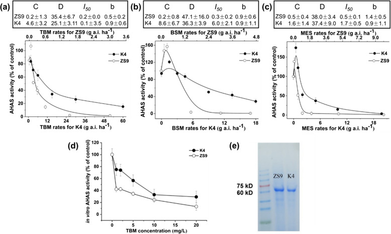 Genetic characterization of the AHAS mutant line K4 with resistance to AHAS-inhibitor herbicides in rapeseed (Brassica napus L.).