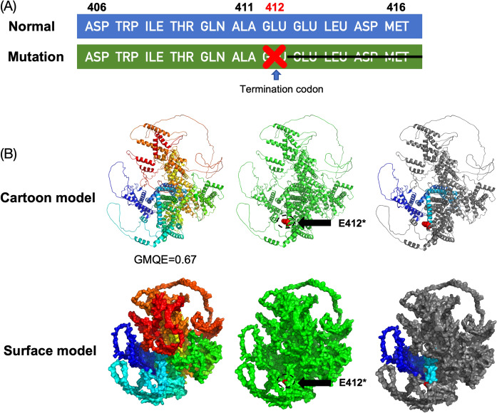 Novel CACNA1F pathogenic variant in pediatric incomplete X-linked CSNB: integrating portable ERG and genetic analysis.
