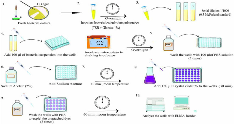 Evaluation of the relatedness between the biofilm-associated genes and antimicrobial resistance among <i>Acinetobacter baumannii</i> isolates in the southwest Iran.