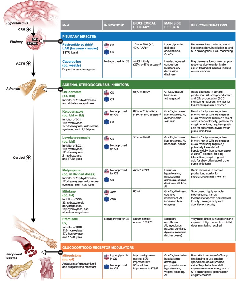 Osilodrostat Treatment for Adrenal and Ectopic Cushing Syndrome: Integration of Clinical Studies With Case Presentations.