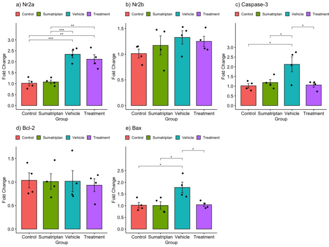 Molecular assessment of NMDAR subunits and neuronal apoptosis in the trigeminal ganglion in a model of male migraine-induced rats following Moringa oleifera alcoholic extract administration.