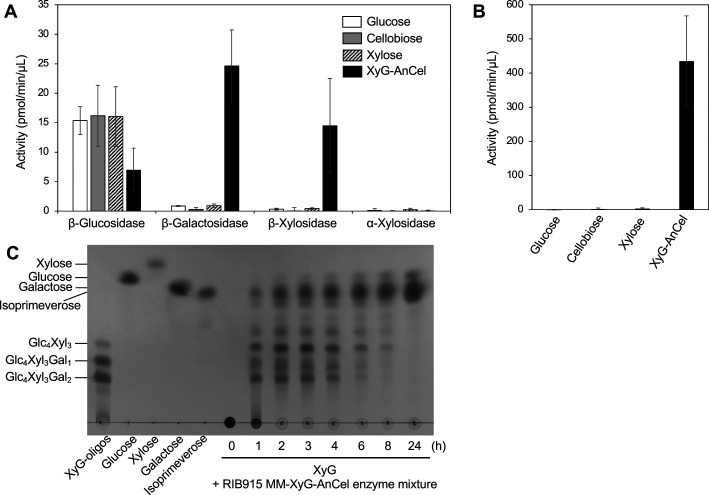 Production of Isoprimeverose from Xyloglucan Using <i>Aspergillus oryzae</i>.