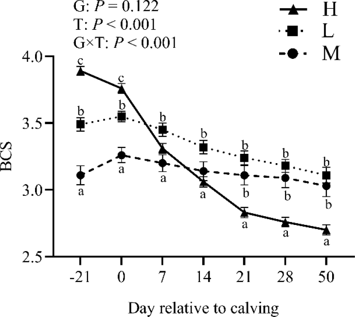 Effect of body condition score loss during the transition period on metabolism, milk yield and health in Holstein cows.