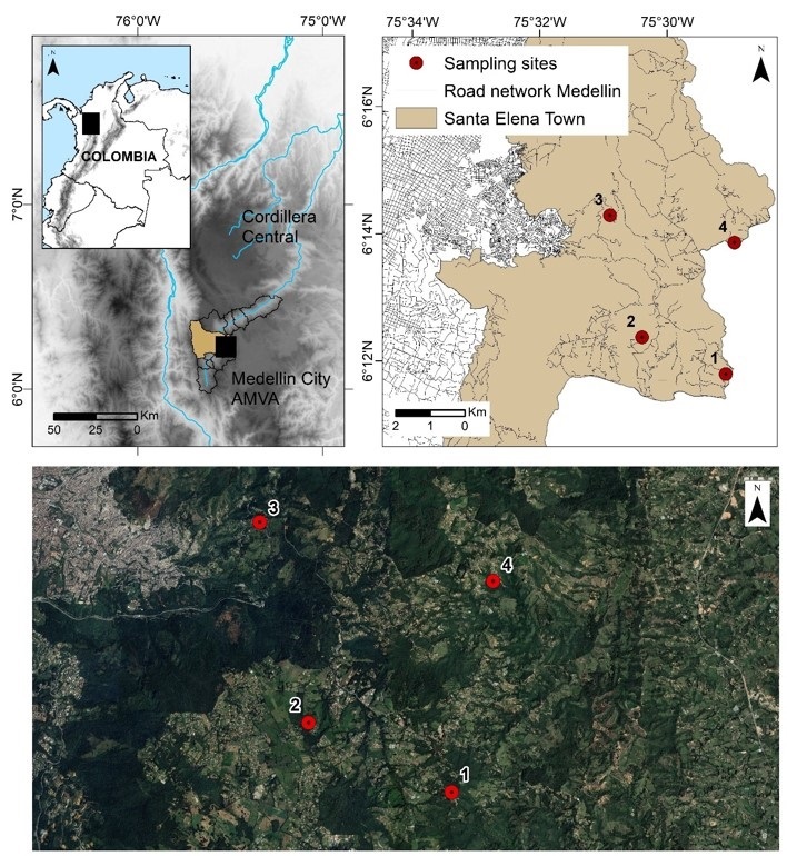 Helminths and protozoan parasites in common opossums (Didelphis marsupialis) in a suburban area in Medellín, Colombia.