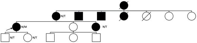 Pre-gestational diabetes in a young woman with a pathogenic INSR missense mutation, p.(Met1180Lys).