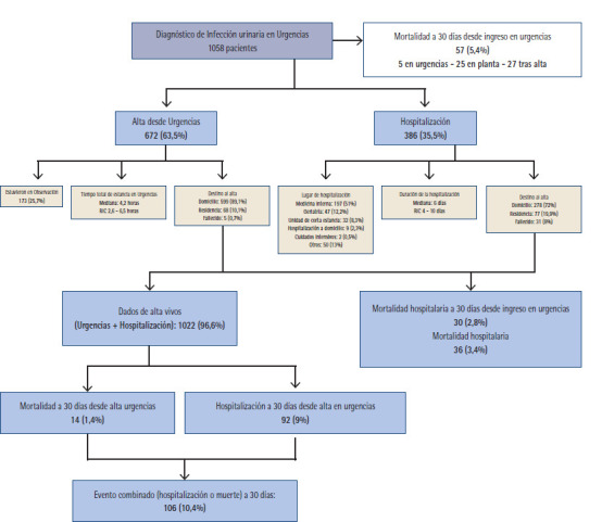 [Epidemiological and clinical management aspects related to urinary tract infections diagnosed in the emergency department in elderly patients in Spain: Results of the EDEN-36 study].