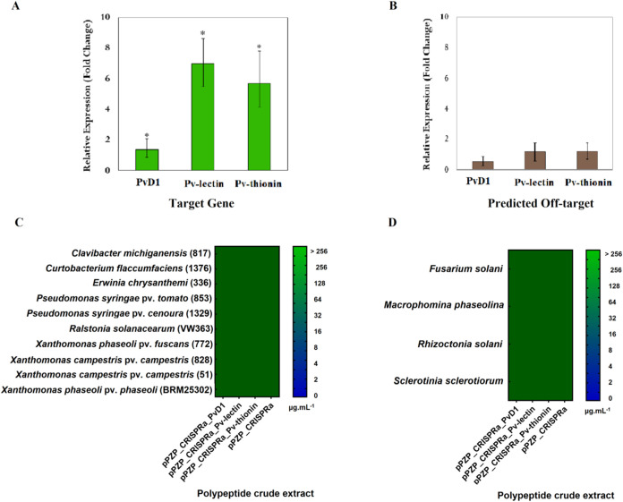 Unlocking Nature's Shield: The Promising Potential of CRISPRa in Amplifying Antimicrobial Peptide Expression in Common Bean (<i>Phaseolus vulgaris</i> L.).