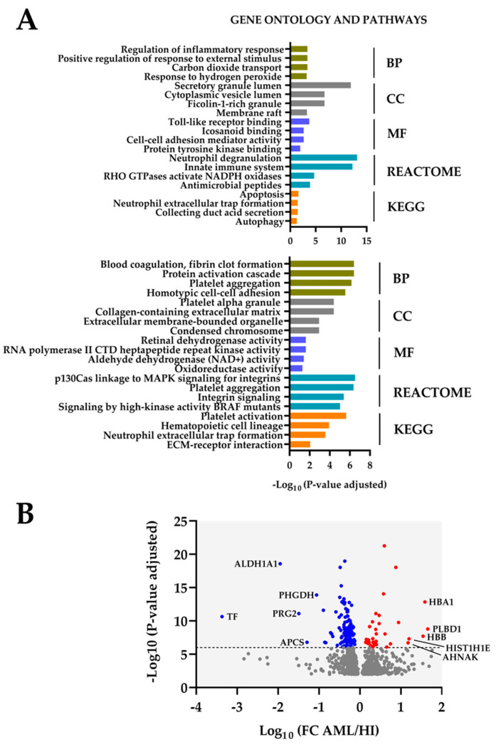 Proteomic Comparison of Acute Myeloid Leukemia Cells and Normal CD34<sup>+</sup> Bone Marrow Cells: Studies of Leukemia Cell Differentiation and Regulation of Iron Metabolism/Ferroptosis.